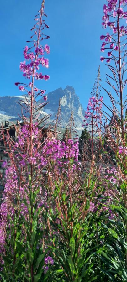 Maison Meynet Mountain Charm Breuil-Cervinia Bagian luar foto